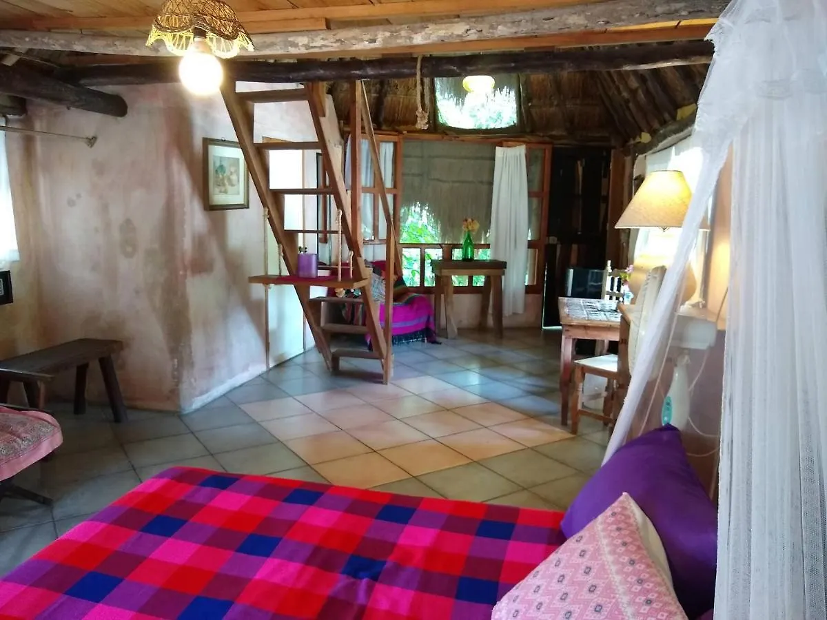 Casitas Kinsol 호텔 푸에르토 모렐로스