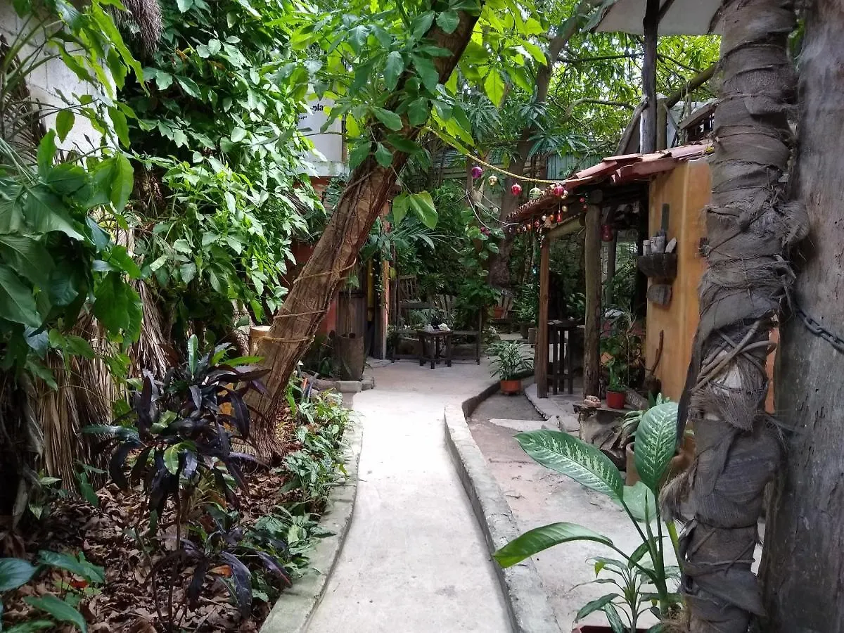 **  Casitas Kinsol 호텔 푸에르토 모렐로스 멕시코