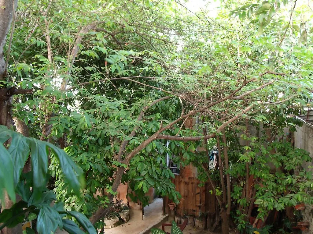 Casitas Kinsol 호텔 푸에르토 모렐로스 2*,  멕시코