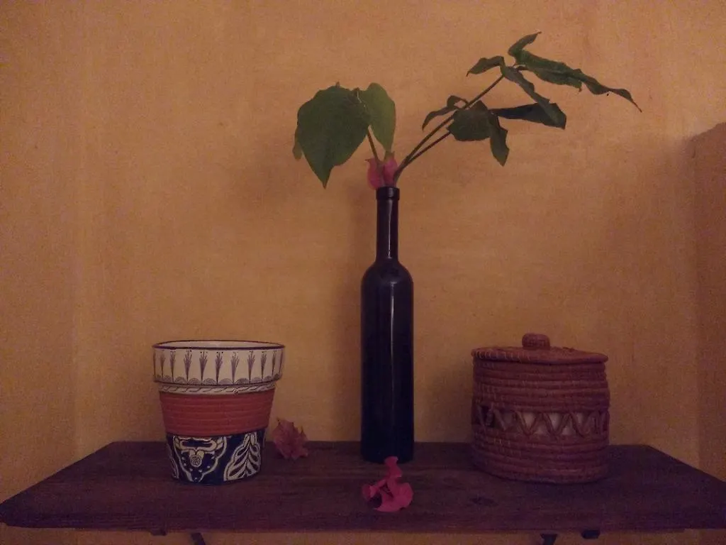 **  Casitas Kinsol 호텔 푸에르토 모렐로스 멕시코
