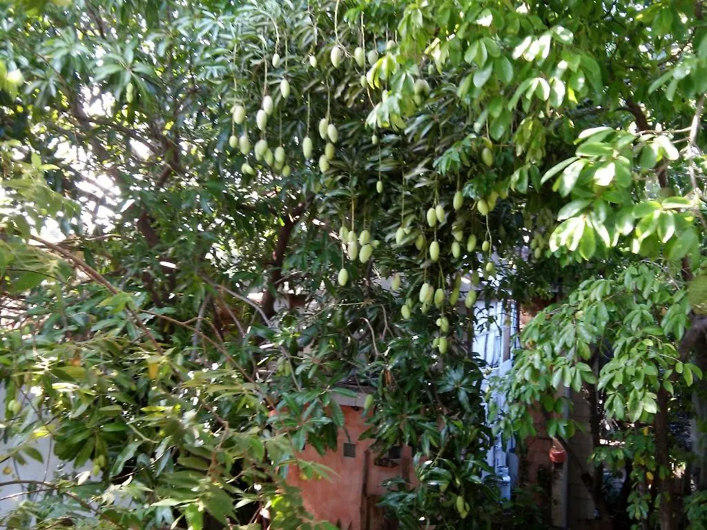 Casitas Kinsol 호텔 푸에르토 모렐로스