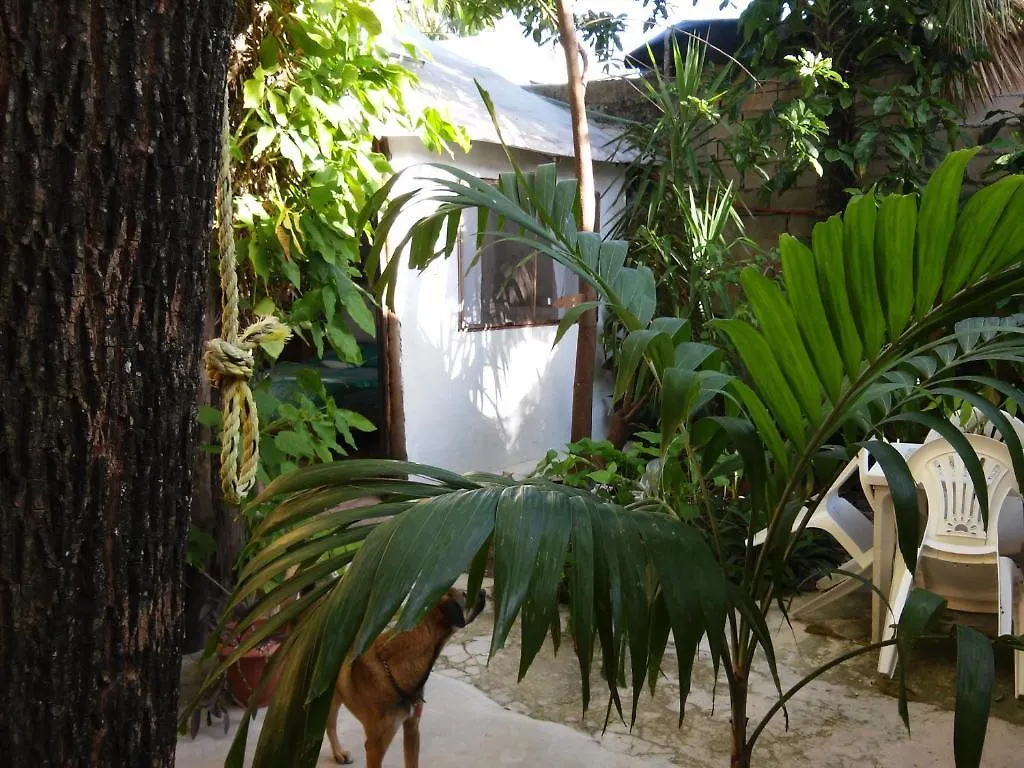 Casitas Kinsol 호텔 푸에르토 모렐로스