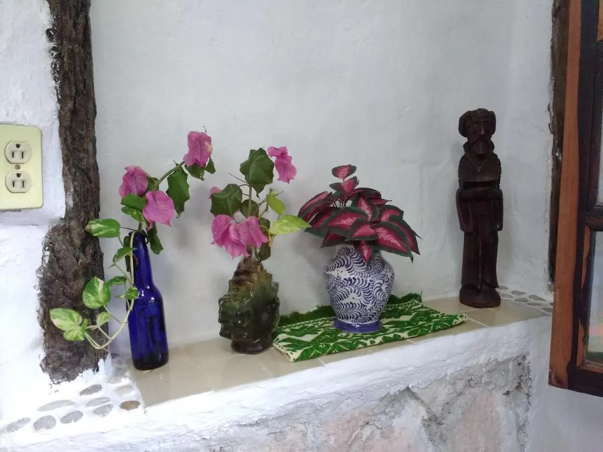 Casitas Kinsol 호텔 푸에르토 모렐로스