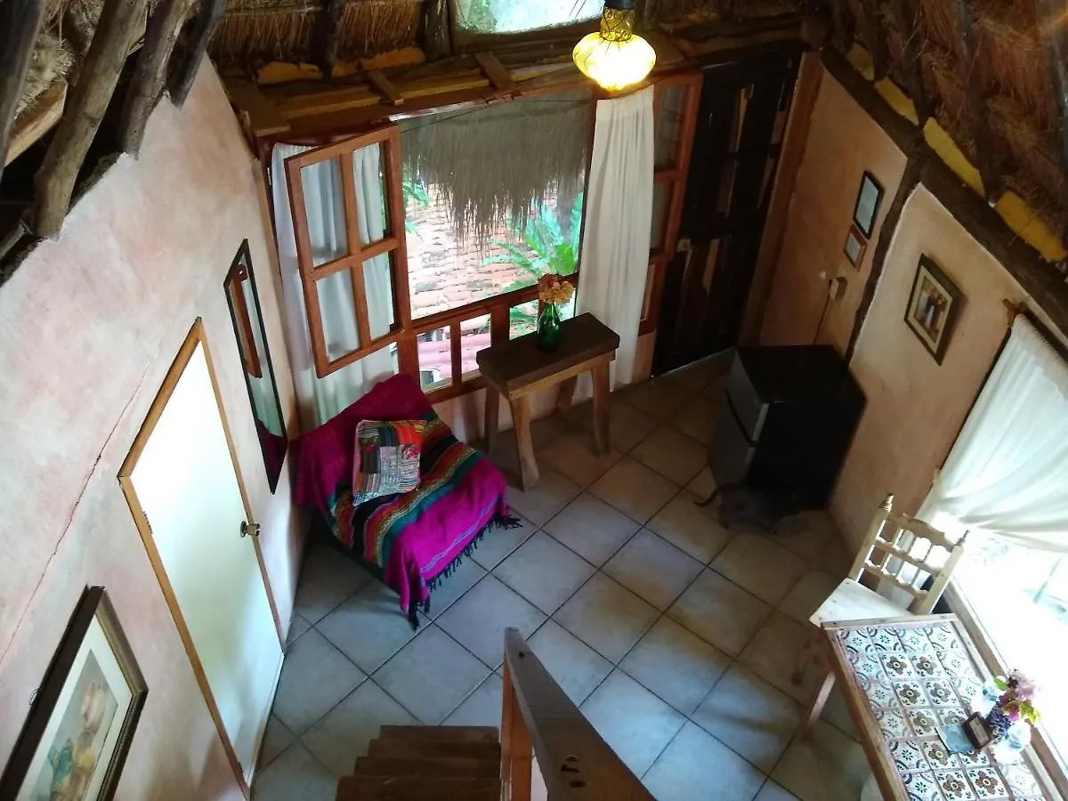 Casitas Kinsol 호텔 푸에르토 모렐로스
