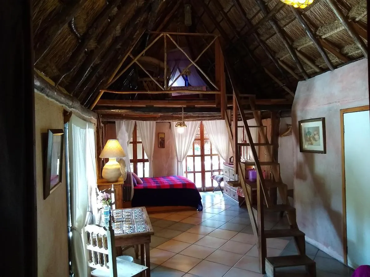 Casitas Kinsol 호텔 푸에르토 모렐로스 멕시코