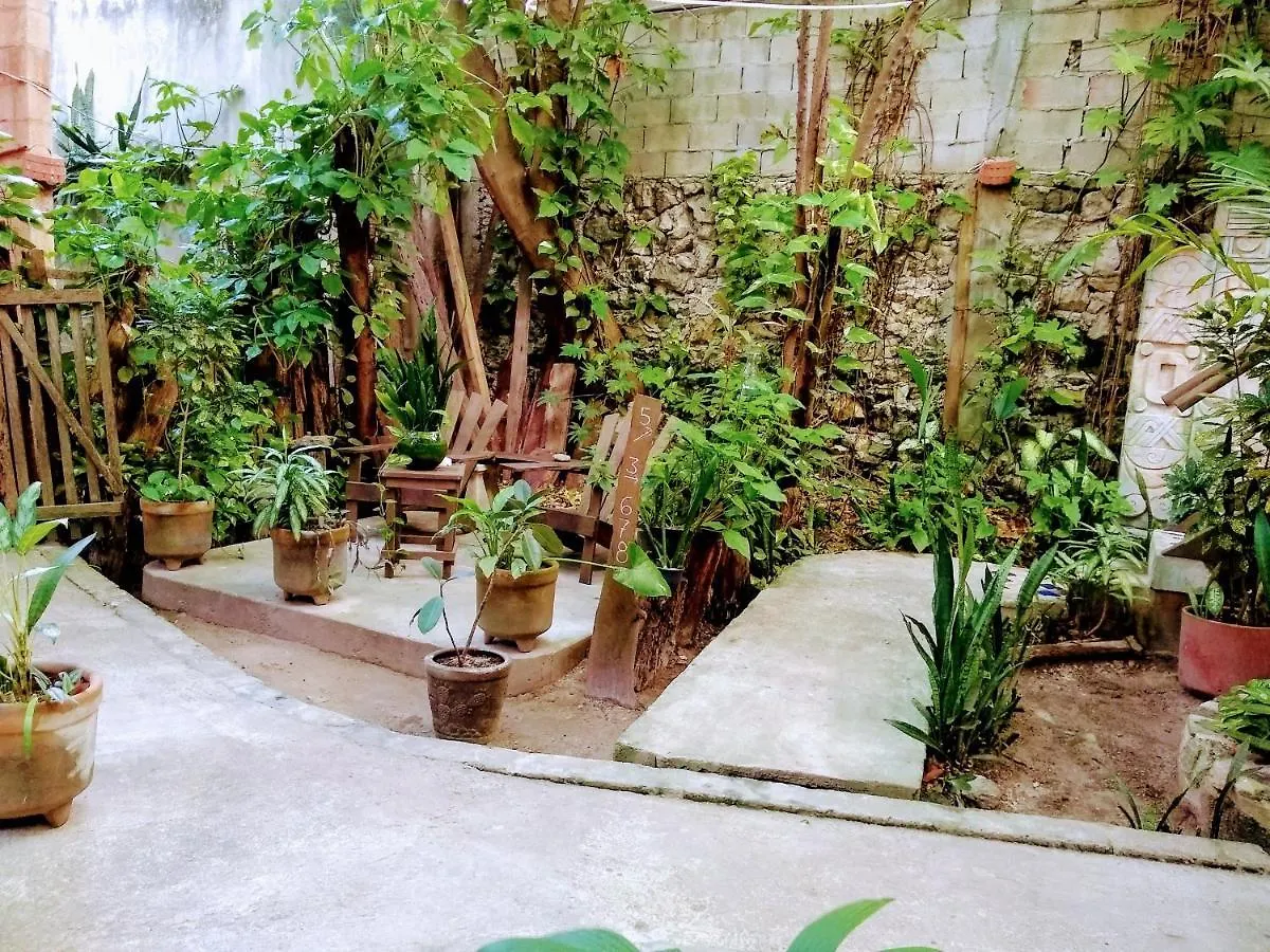 Casitas Kinsol 호텔 푸에르토 모렐로스